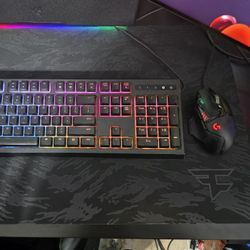 Razer Ornata Chroma + Logitech G502 Hero