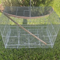 Metal Bird Cage