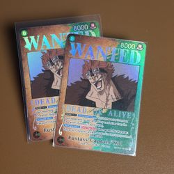 Wanted Kid