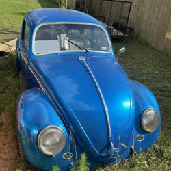 1965 Volkswagen Beetle