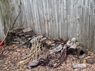 Firewood