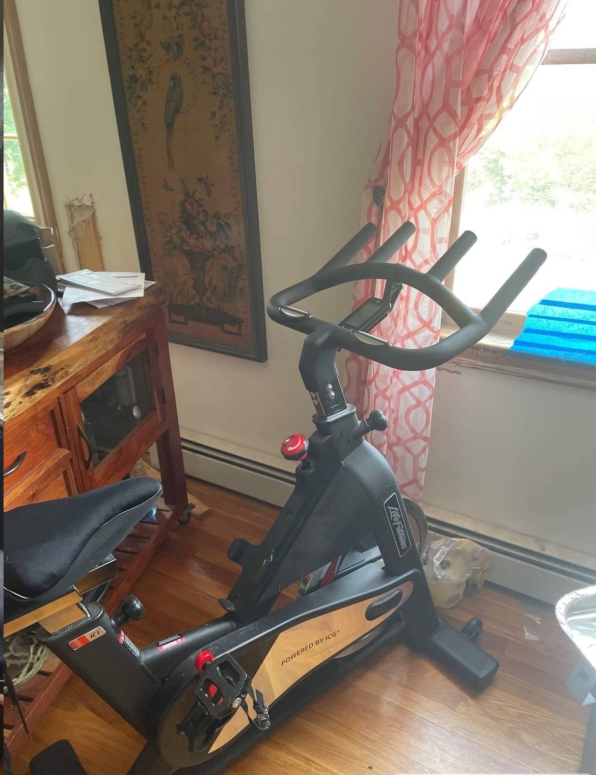 Peloton Workout Bike