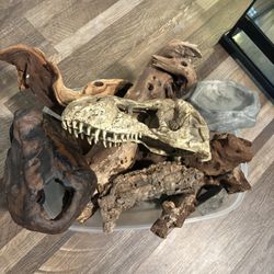 Reptile Supplies