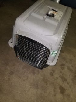 Pet carrier