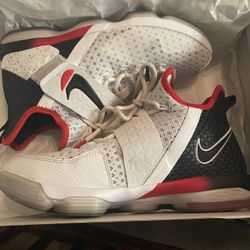 Lebron XIV shoes