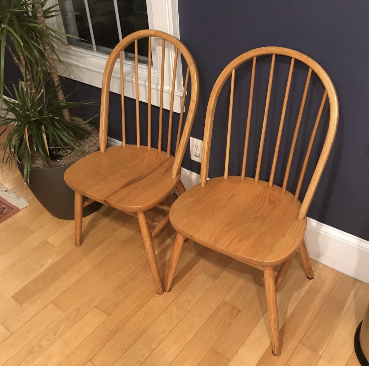 FREE 2 Solid Oak Chairs