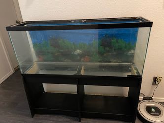 50 gallon Fish tank with stand
