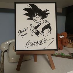 Dragon Ball Z 3d Printed Akira Toriyama Sing nature Print 