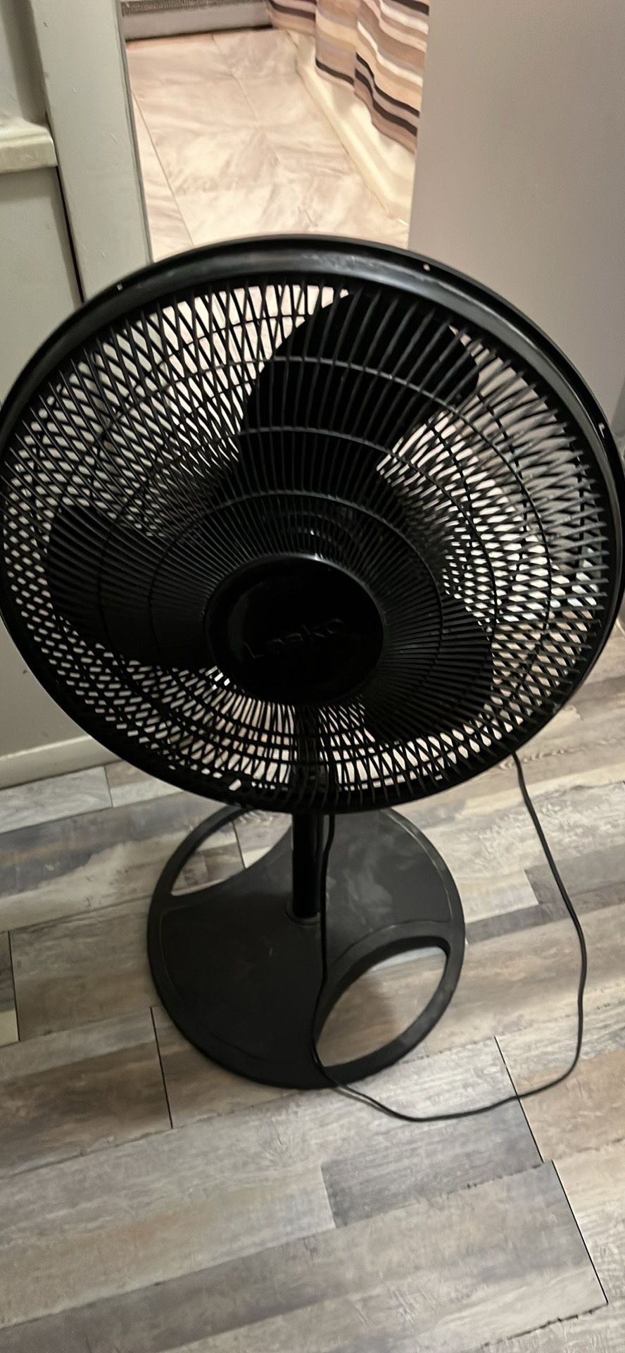 Fan