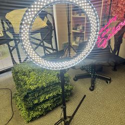 Ring Light 