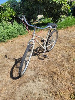 Cruiser bike