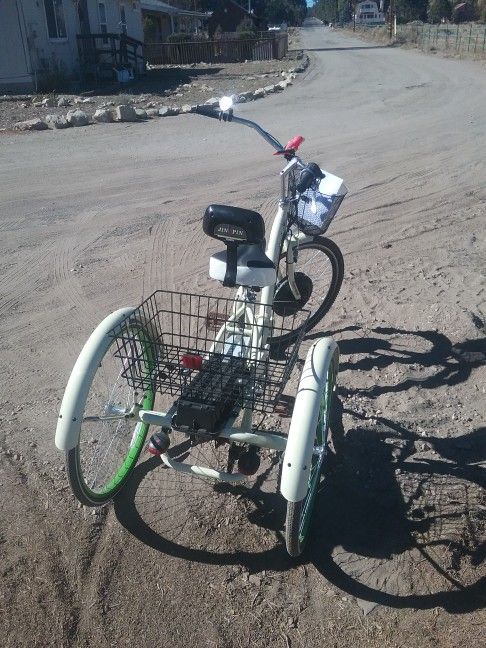 margaritaville adult trike