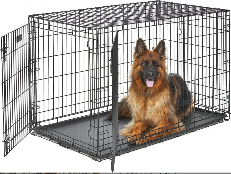 XL -MidWest LifeStages Double Door Collapsible Wire Dog Crate, 48 inch