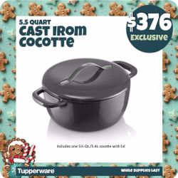 Tupperware Cast Iron Pot/casserole 5.5qt