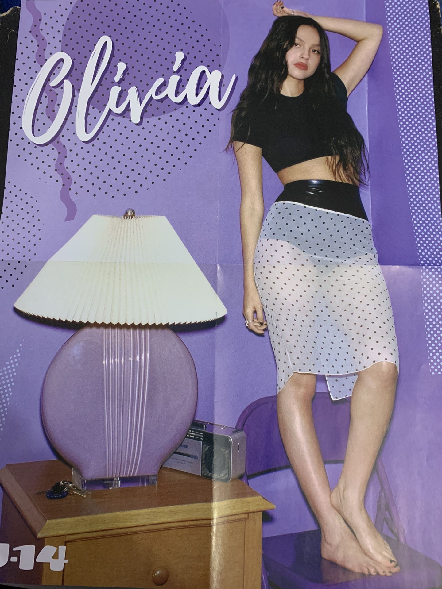 OLIVIA RODRIGO/NIALL HORAN 16x20 Poster!