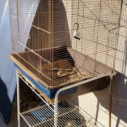 Bird Cage parakeet