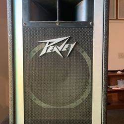 Peavey PA speakers