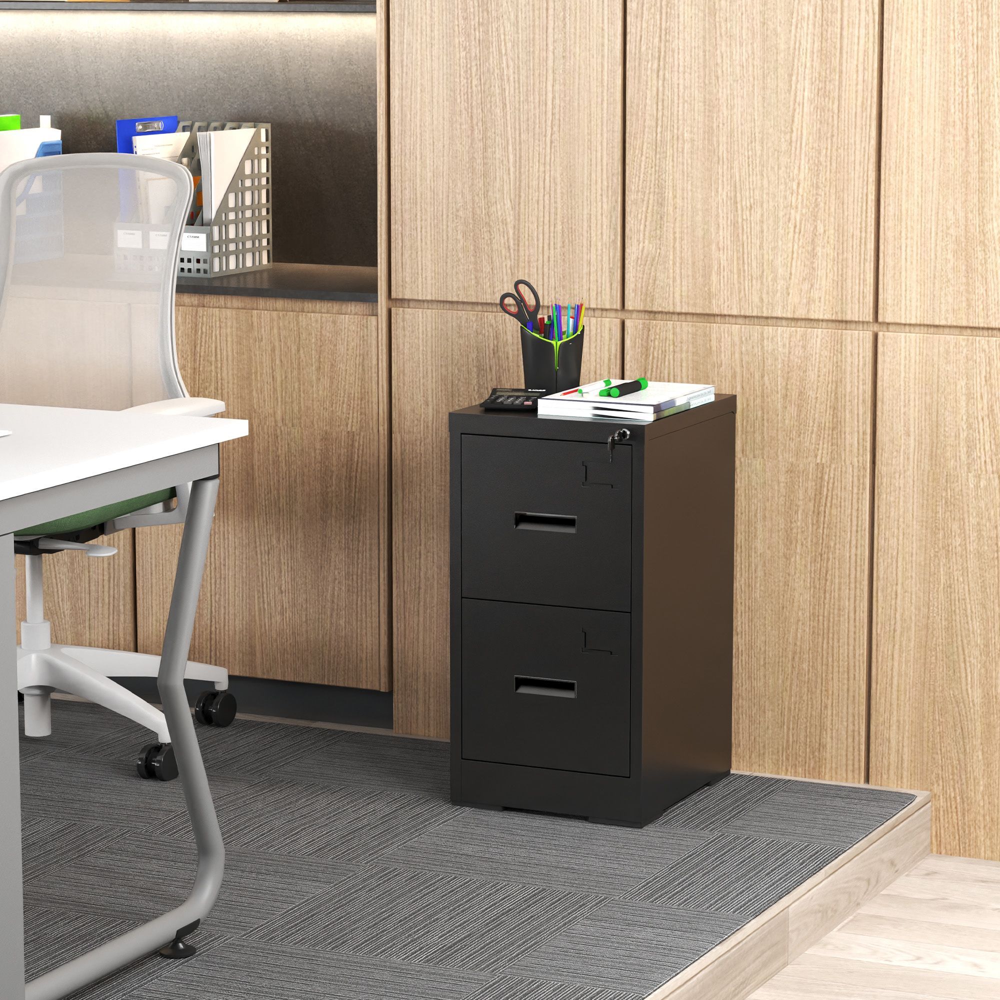 2 Drawer Metal Vertical File Cabinet with Lock and Card Slot Office Home Vertical File Cabinet for A4 Legal/Letter Size Narrow File Cabinet Locked,Ass