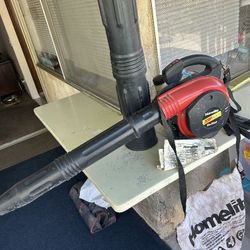 Leaf Blower&Vacuum 
