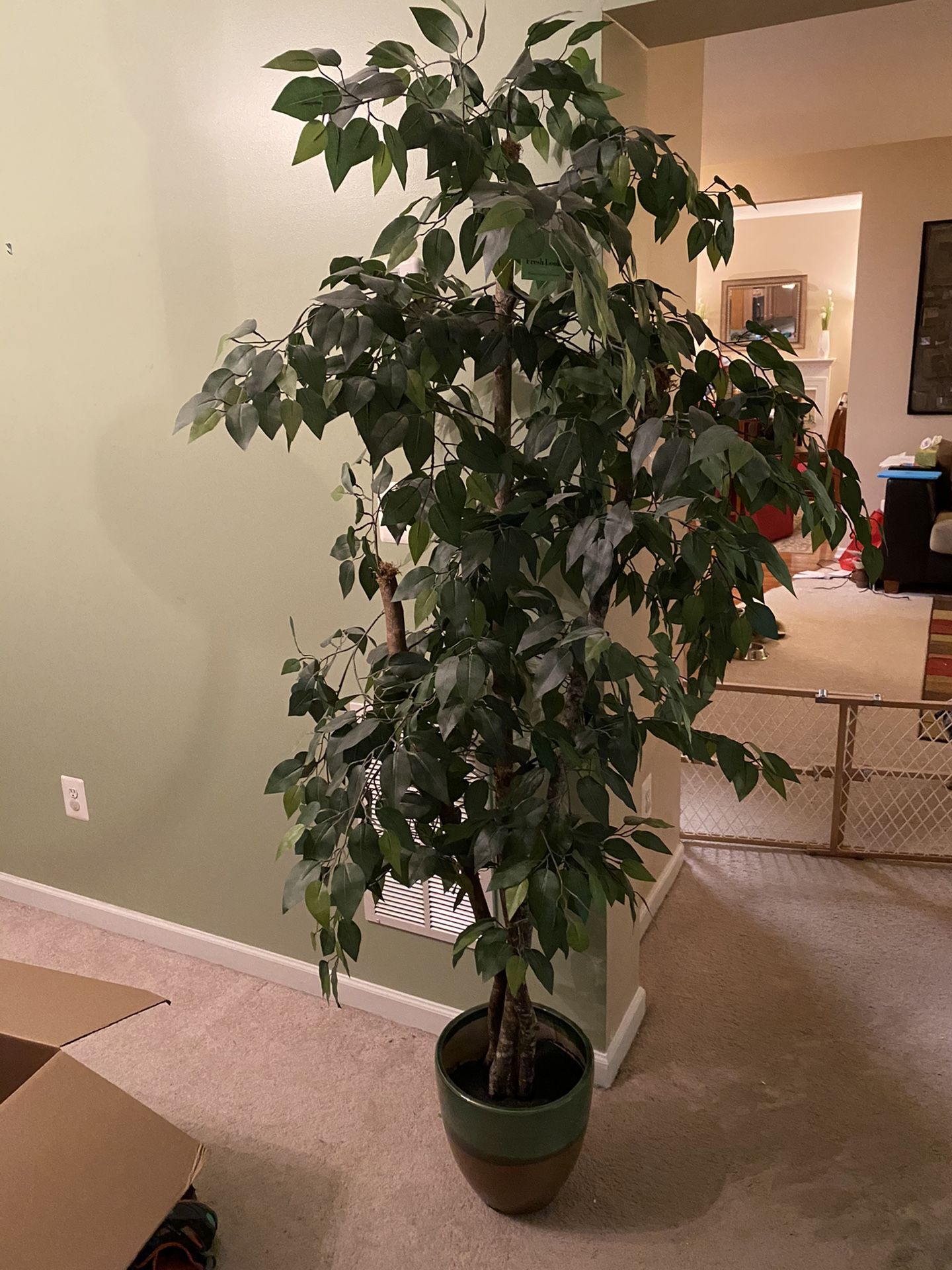 $15 Like New 6’ tall Faux Plant