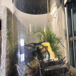 Circular Fish Tank 