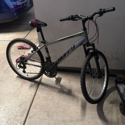 24 Inch Bike