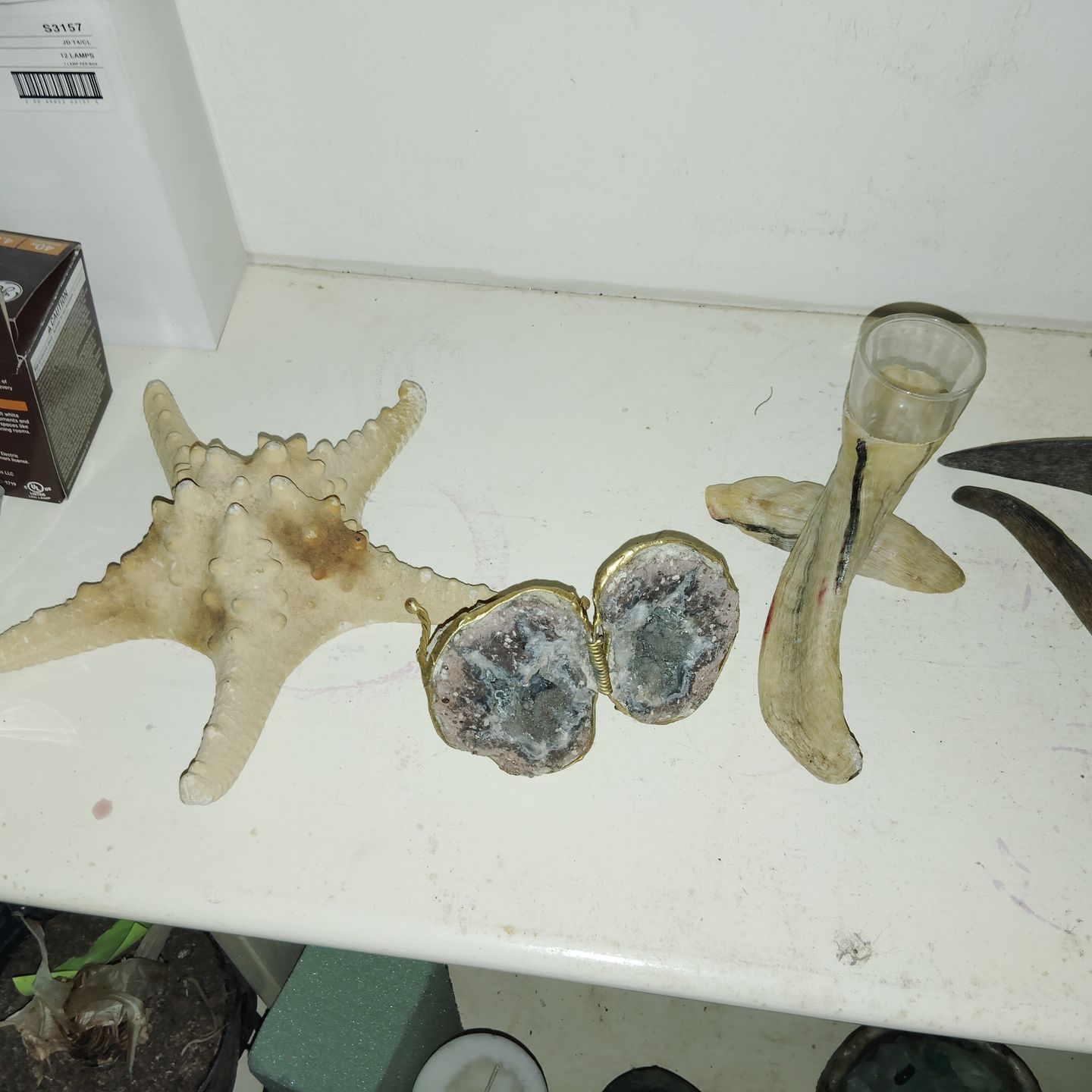 Bunches fossils, eggs,arrow heads and more .