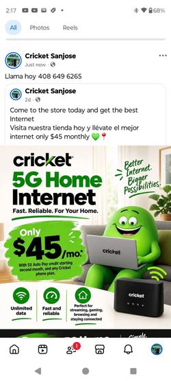 Cricket