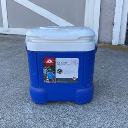 Igloo Cooler