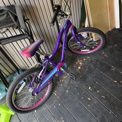Schwinn Kids Bike 20in 