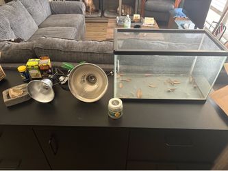 Fishtank and more!