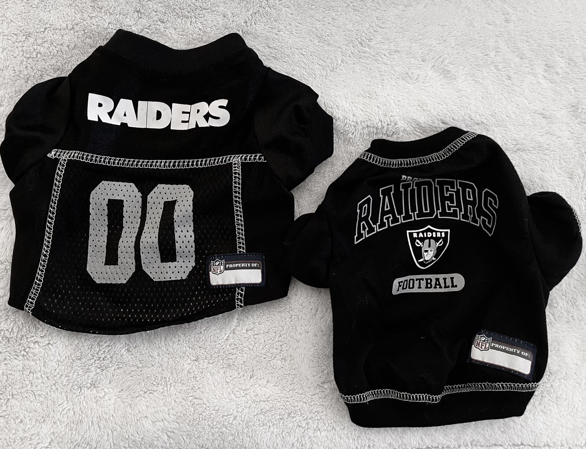 Raiders Jersey & Shirt (pet)