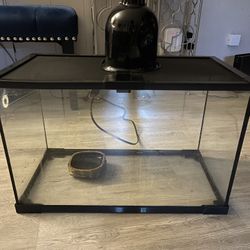 10 Gallon Reptile Tank