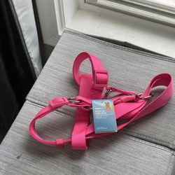 Small Dog Leashes And Large Dog Harness 