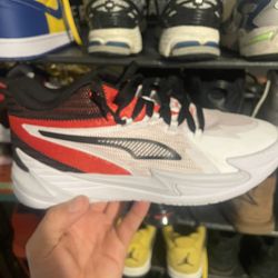 Puma Bites 