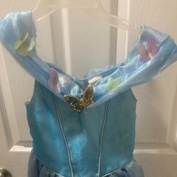 Cinderella Dress