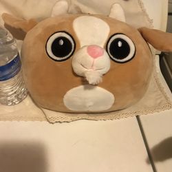 Peluche
