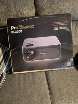 Projector and screen