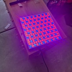 Grow Light 