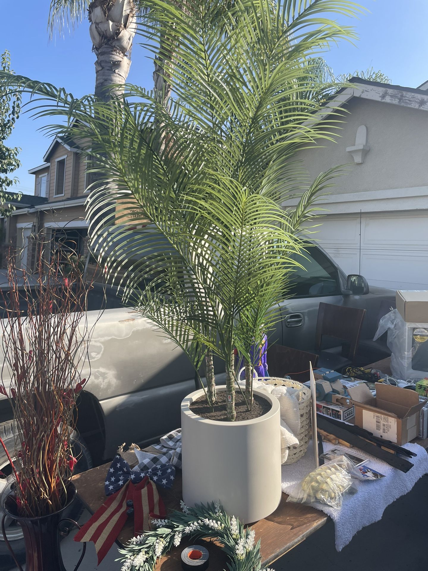Plant