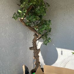 6ft Artificial Indoor Tree