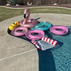 Pool Toys Everything In The Picture For $25