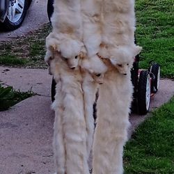 Authentic White Ferret Fur Shawl
