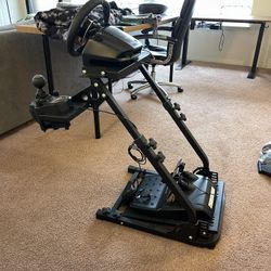 G29 PC/PlayStation Racing Simulator Bundle