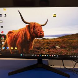 Samsung 27" S3 FHD IPS 100Hz Monitor: Home Adjustable Tilt Display