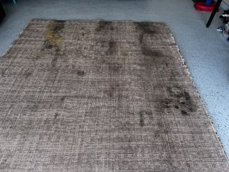 Steam Carpet Cleaning
