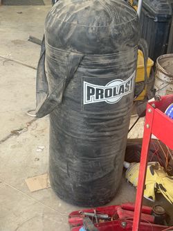 Prolast boxing bag