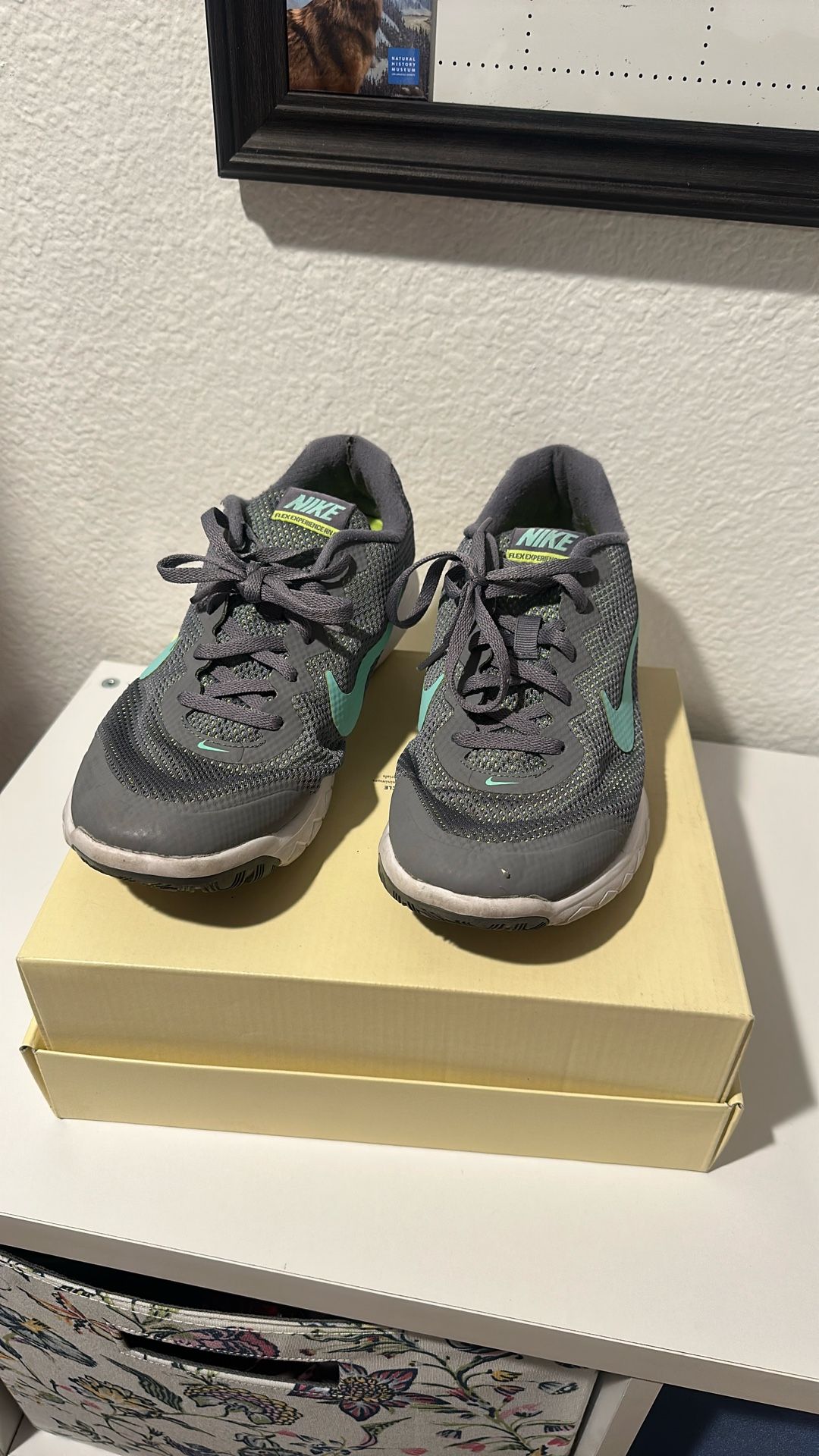 Nike Flex Experience RN4 Gray & Green