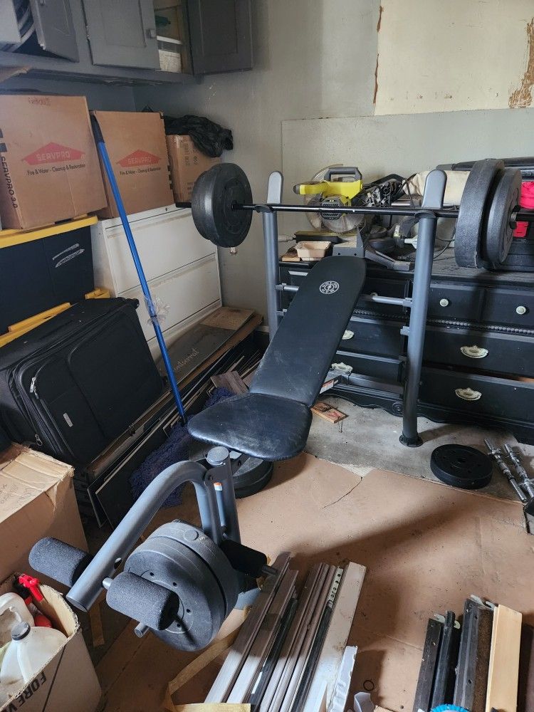 Golds Gym Weight Bench With Weights