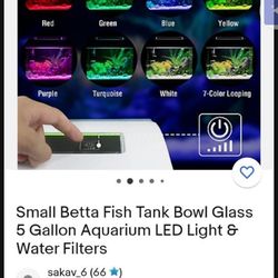 Small Betta Fish Tank Bowl Glass 5 Gallon Aquarium LED Light & Water Filters
